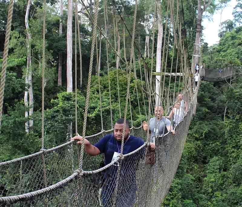 Kakum National Park, known for its rainforest, diverse wildlife, and famous canopy walkway offering a treetop perspective.