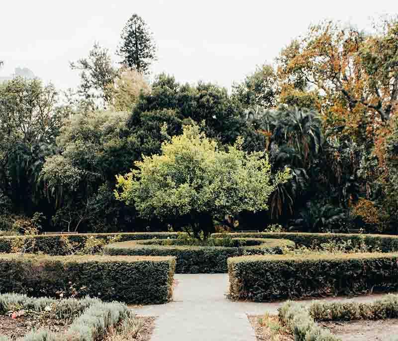 Kandy Botanical Gardens - Extensive garden boasting diverse plants, historical significance, and serene landscapes.