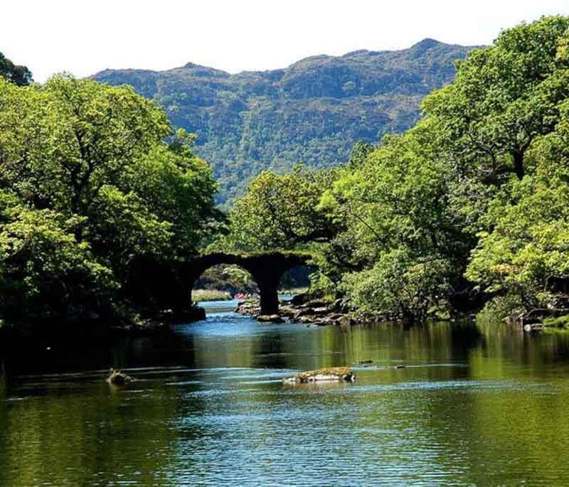 Killarney Lakes, a group of scenic lakes in Killarney National Park, surrounded by mountains and lush forests.