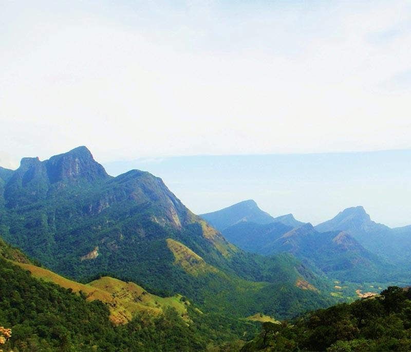 Knuckles Mountain Range - Biodiverse range with enchanting hiking trails, serene beauty, and diverse wildlife.