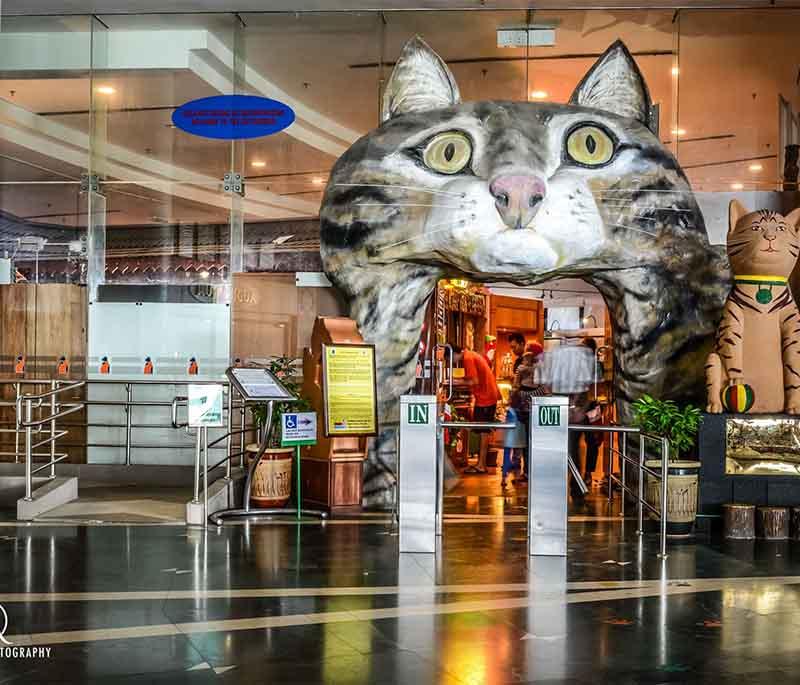 Kuching Cat Museum in Sarawak is dedicated to all things feline, with various cat-related exhibits and interactive displays.