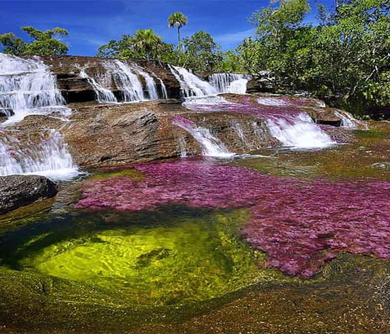 La Macarena and Cano Cristales, known for the River of Five Colors, a stunning natural phenomenon in the remote region.