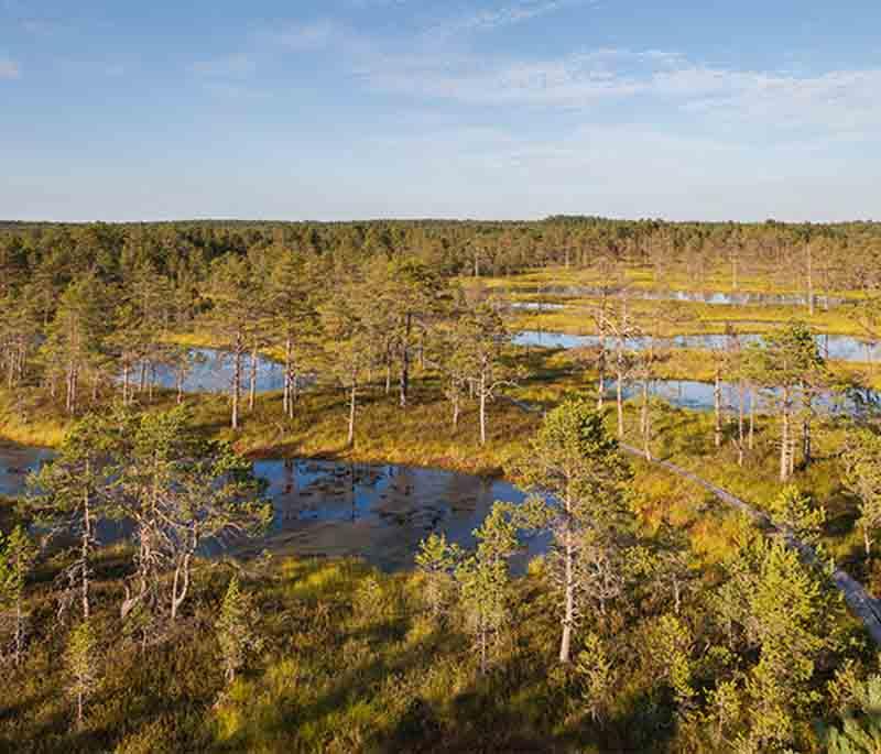 Lahemaa National Park, Estonia's largest park, known for diverse landscapes like forests, bogs, and coastal areas.