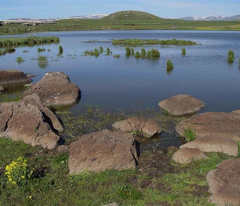 Lake Arpi, showing the serene waters and wildlife-rich wetlands in a high-altitude national park with tranquility.