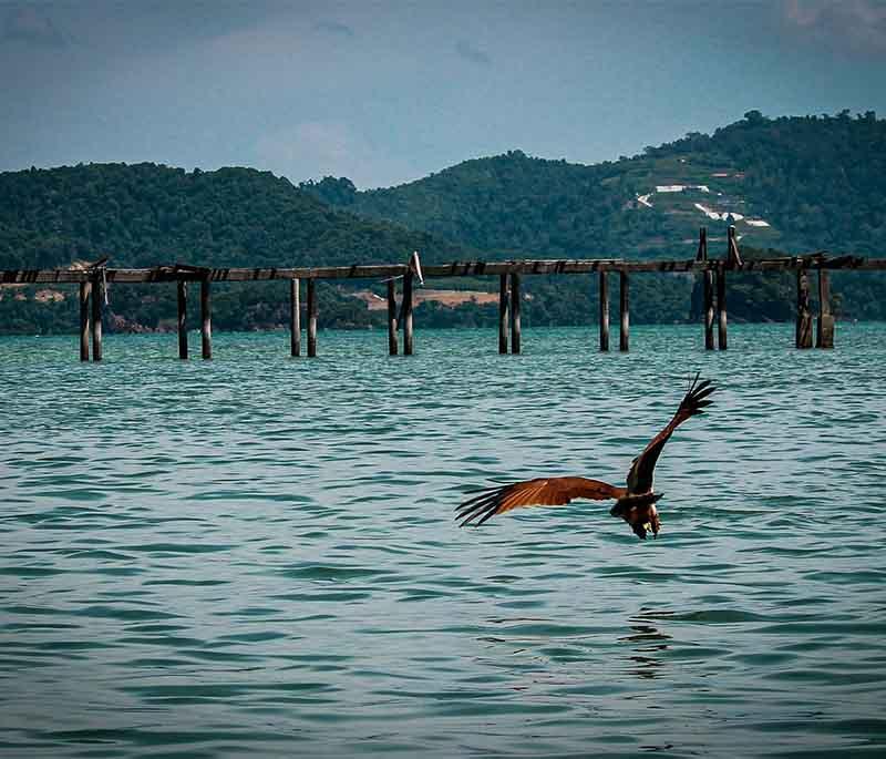 Langkawi Island, Kedah: Paradise of white beaches, lush jungles, and crystal-clear waters, perfect for nature lovers.