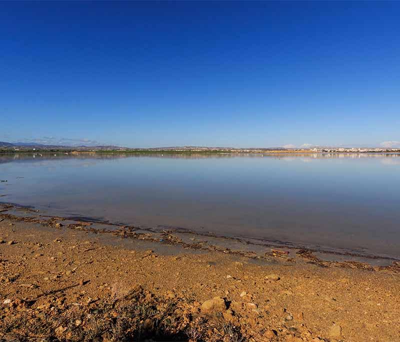 Larnaca Salt Lake, a seasonal salt lake home to flamingos and other bird species, with the Hala Sultan Tekke mosque nearby.