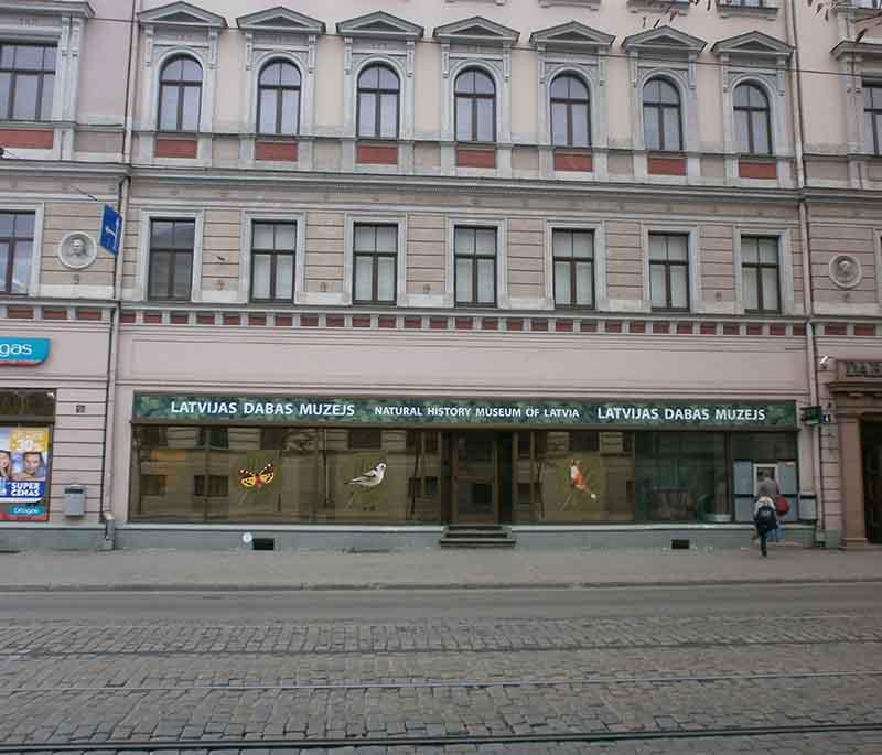 Latvian Museum of Natural History: Riga museum showcasing Latvia's natural heritage, geology, flora, and fauna.
