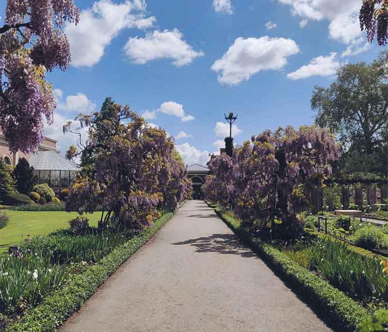 Leuven Botanical Garden, Belgium's oldest botanical garden, showcasing a wide variety of plants and serene walking paths.