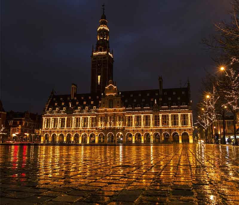 Leuven University Library, a historic library with beautiful architecture, extensive collections, and World War I history.