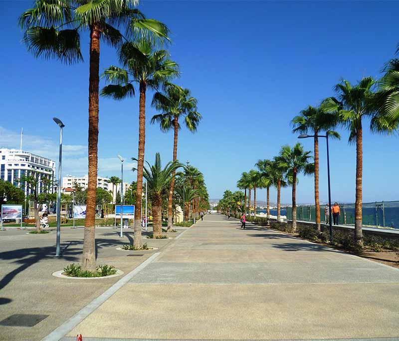 Limassol Promenade, a vibrant waterfront area with cafes, restaurants, and scenic views of the Mediterranean Sea.