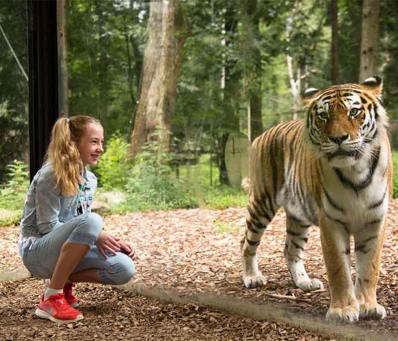 Ljubljana Zoo - A family-friendly attraction featuring a variety of animal species and educational programs.