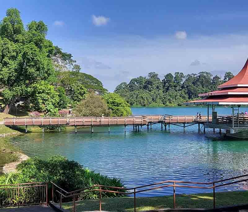 MacRitchie Reservoir - A popular spot for hiking, kayaking, and enjoying nature in the heart of Singapore.