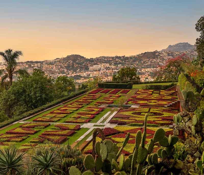 Madeira Botanical Garden - A beautiful garden in Funchal, featuring diverse plants, flowers, and stunning views.