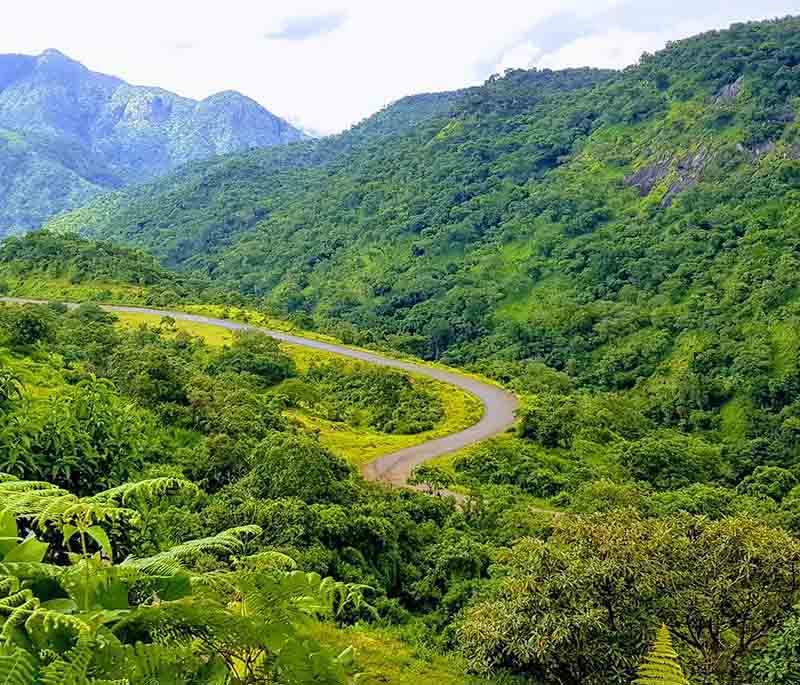 Mambilla Plateau - A highland region in Taraba State, known for its cool climate, tea plantations, and breathtaking views.