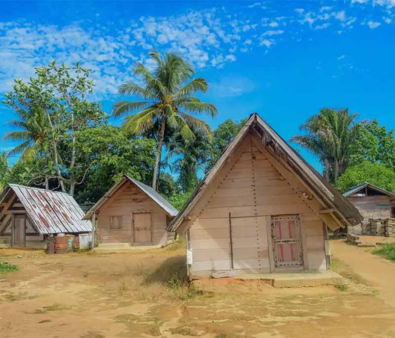 Maroon Village of Pikin Slee - A cultural village offering insights into the Maroon way of life and traditions.