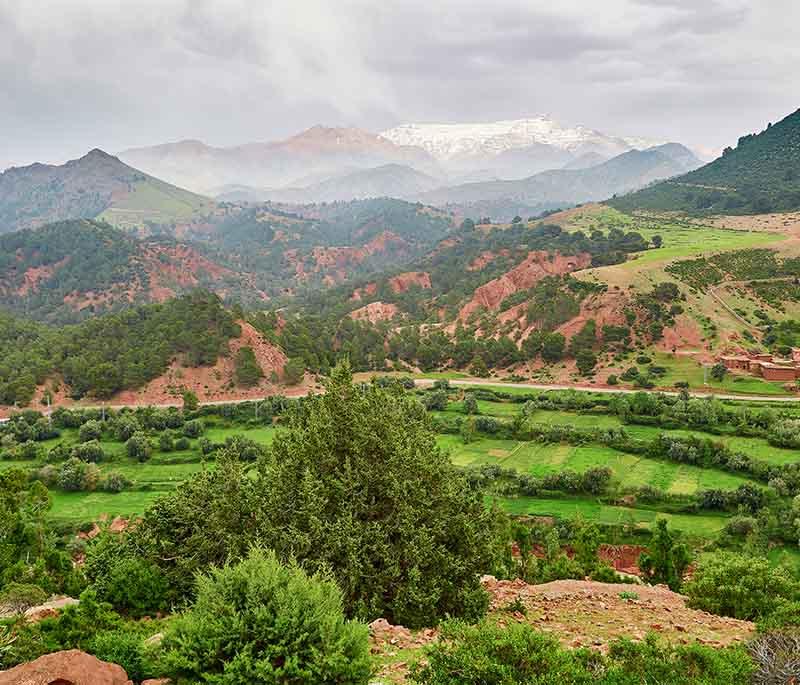 Midelt - Apple Capital: Known for its apple orchards and as a base for exploring the High Atlas and Eastern High Atlas.
