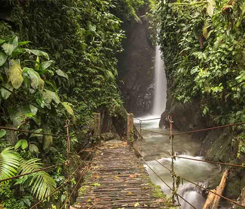 Mindo Cloud Forest, a biodiverse area known for birdwatching, waterfalls, and outdoor activities like zip-lining and hiking.