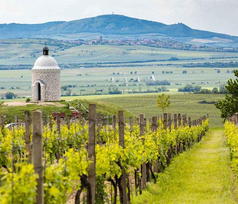 Moravian Wine Trails, a network of scenic cycling routes through picturesque vineyards and wine-producing regions of Moravia.