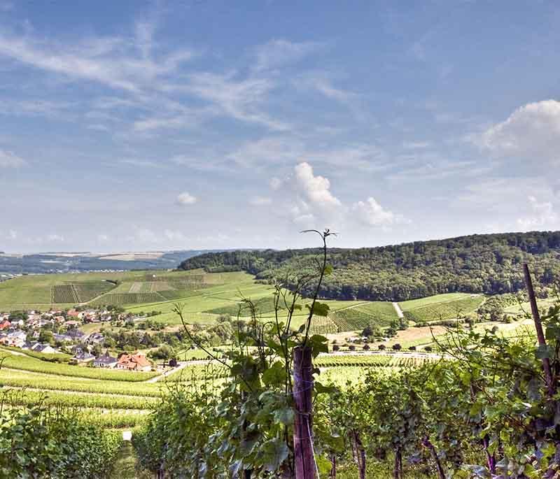 Moselle Valley, a scenic wine region along the Moselle River, known for its vineyards, charming villages, and wine tastings.