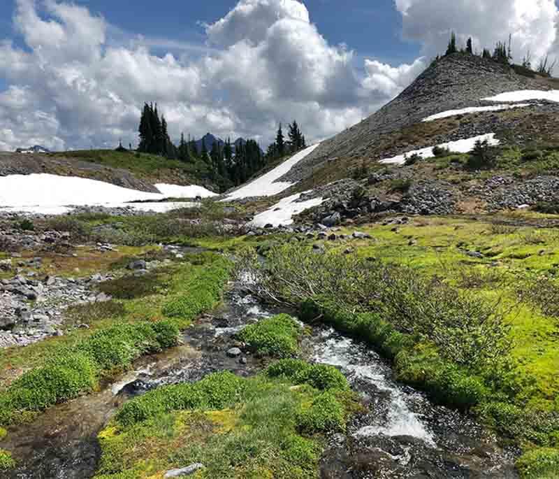 Mount Rainier National Park, Washington - Known for its active stratovolcano, diverse ecosystems, and scenic views.