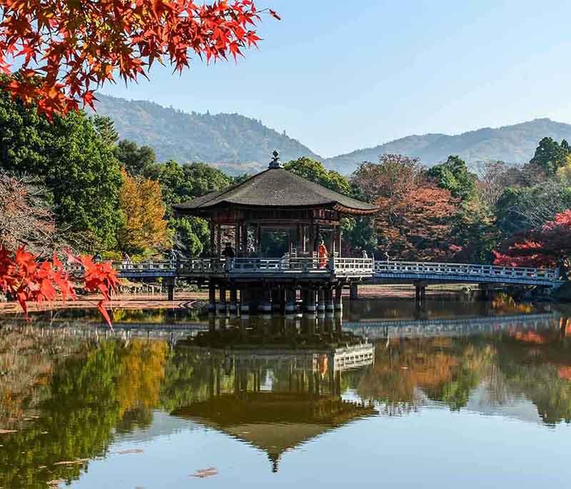 Nara, a city known for its historic temples, including Todai-ji, and its friendly free-roaming deer.