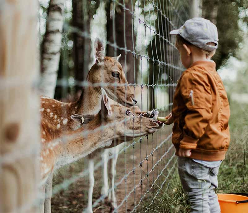 National Zoo and Aquarium, Canberra: Combines a zoo and aquarium with a wide range of animal species.