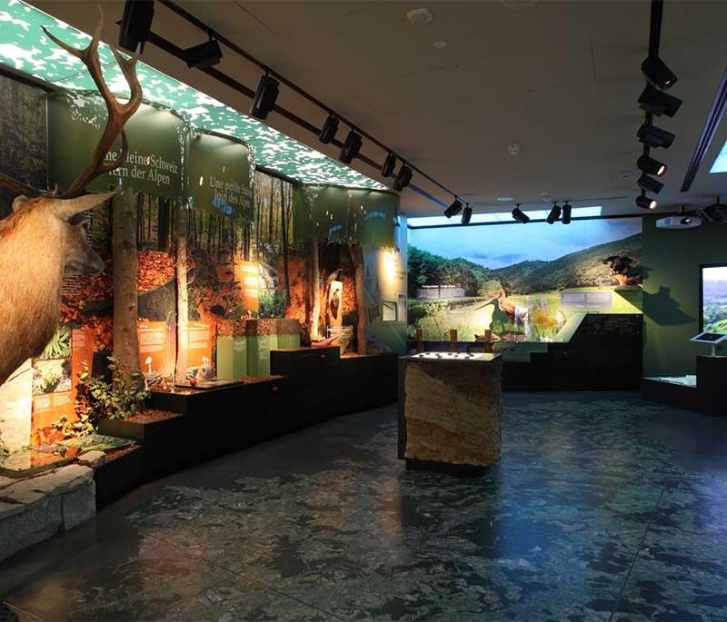 National Museum of History and Art: Explore Luxembourg's rich history, art, and archaeology exhibits.