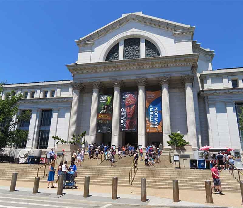 National Museum of Natural History: Discover and explore fascinating exhibits and displays on natural history and wildlife.