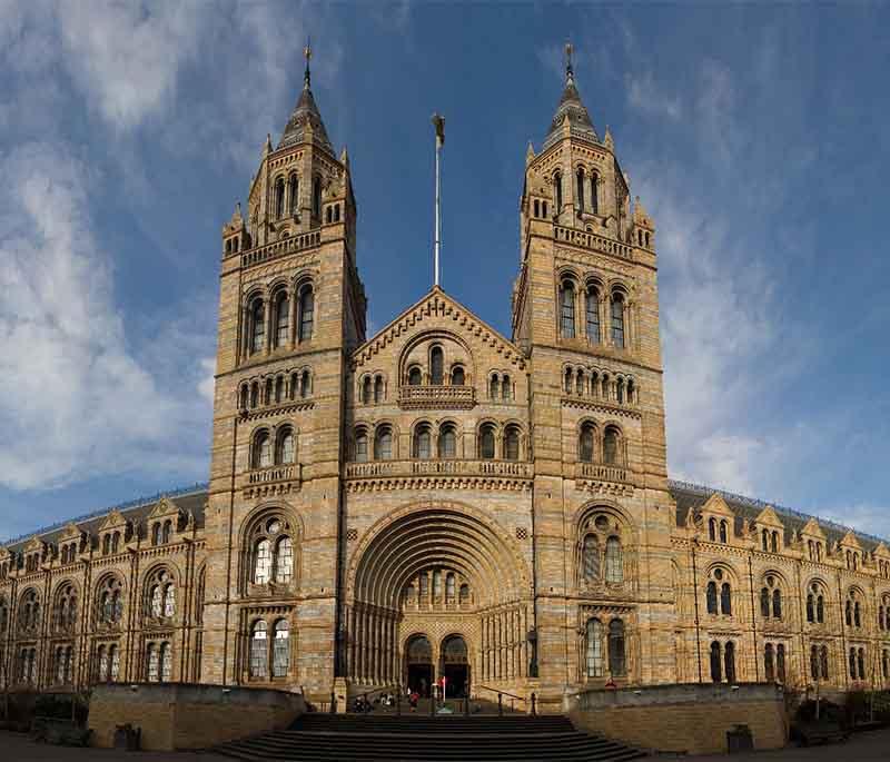 Natural History Museum: Explore Earth's wonders! Dive into  rocks,  plants, and  animals with captivating displays.