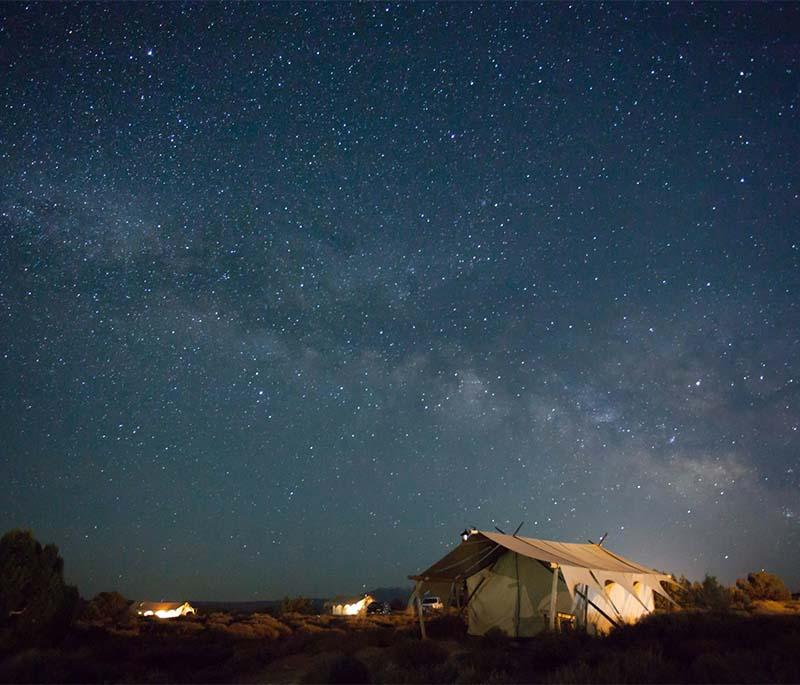 Night Safari - A nocturnal wildlife park offering unique opportunities to observe animals in their natural habitats at night.