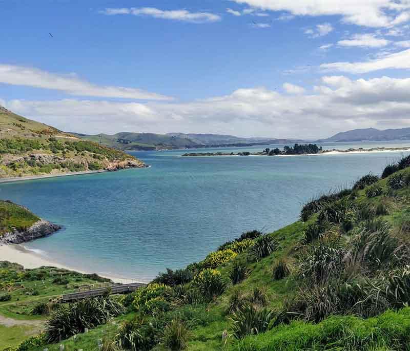 Otago Peninsula, Otago - Renowned for its wildlife, including albatrosses, sea lions, penguins, and rugged coastline.