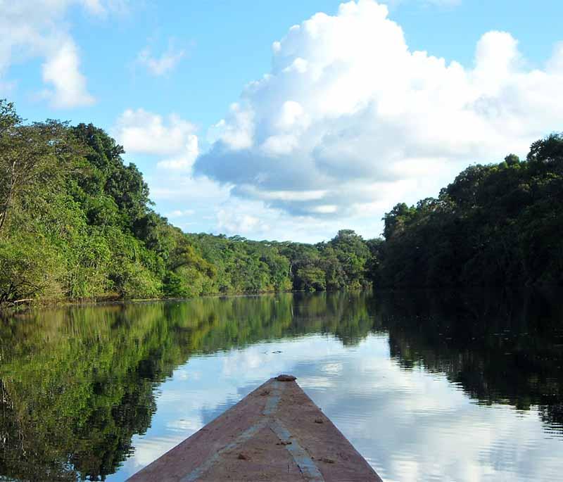 Pacaya-Samiria National Reserve - A protected Amazon area, famed for its diverse wildlife and conservation efforts.