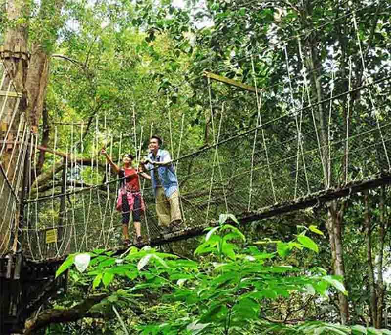 Penang National Park in Penang features pristine beaches, a meromictic lake, hiking trails, and diverse wildlife.