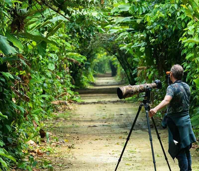 Peperpot Nature Park - Reserve with trails through old plantations, teeming with wildlife and ideal for birdwatching.