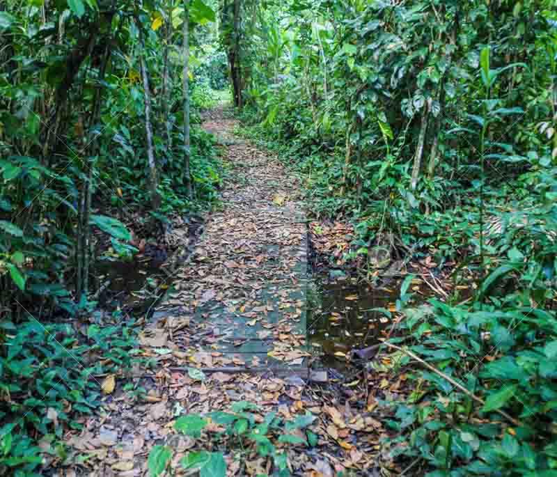 Peperpot Plantation - A historic plantation now serving as a nature park with walking trails and wildlife.