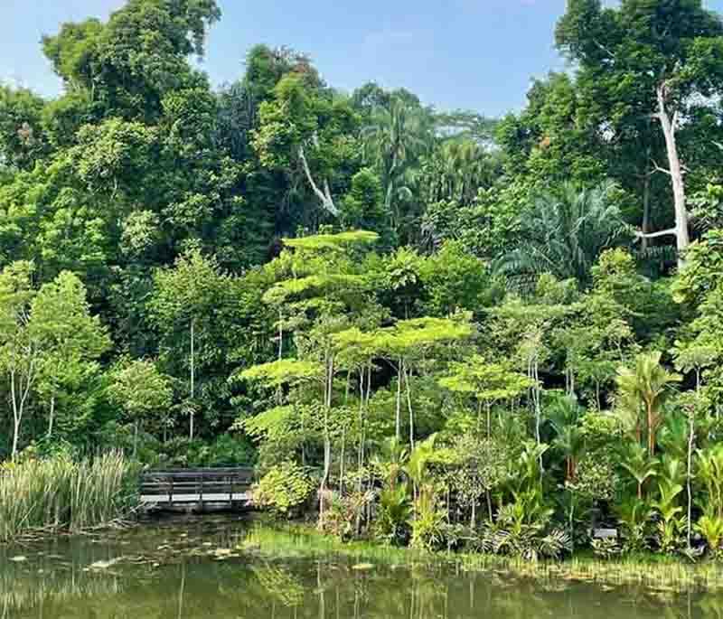 Peradeniya Royal Botanic Gardens - Botanical paradise with diverse plants, captivating landscapes, and history.
