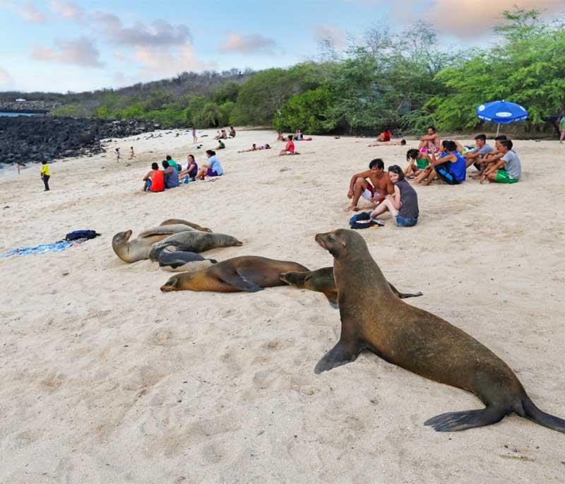 Playa de San Cristobal, a beautiful beach on San Cristobal Island, known for its clear waters and abundant wildlife.