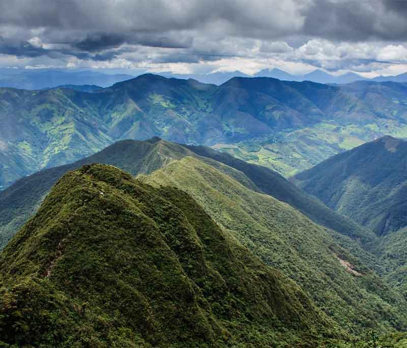 Podocarpus National Park, a biodiverse park in southern Ecuador, known for its cloud forests, waterfalls, and hiking trails.