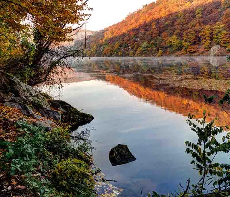 Podyji National Park, a protected area along the Dyje River, known for diverse flora, fauna, and scenic landscapes.