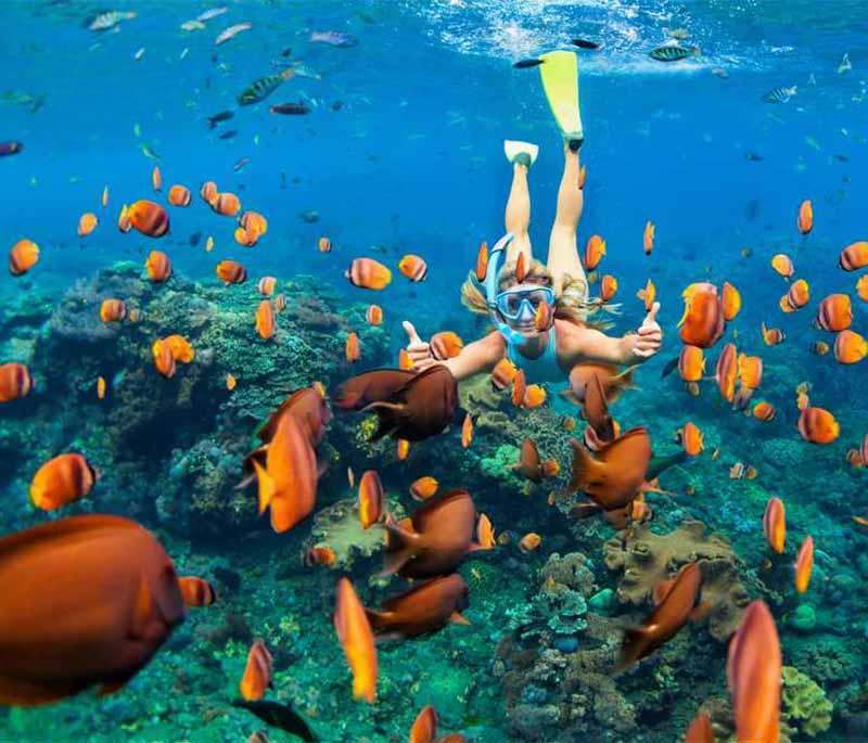 Pointe aux Piments - Known for its coral reef, excellent snorkeling conditions, and diverse marine life.