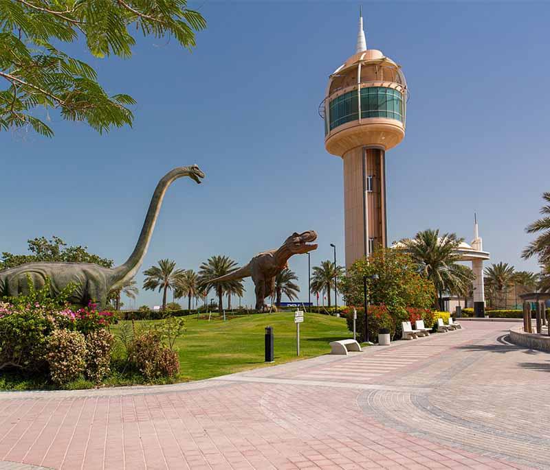 Qalali Farmers' Market, showcasing local produce, goods, and vibrant community market setting with lively atmosphere.