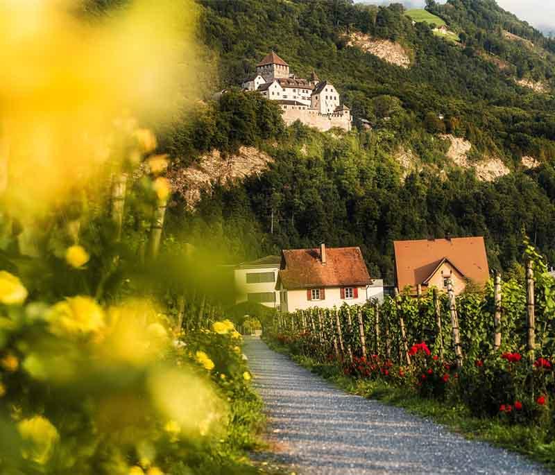 Prince of Liechtenstein Winery, a renowned winery offering tours and tastings of local wines produced by the royal family.