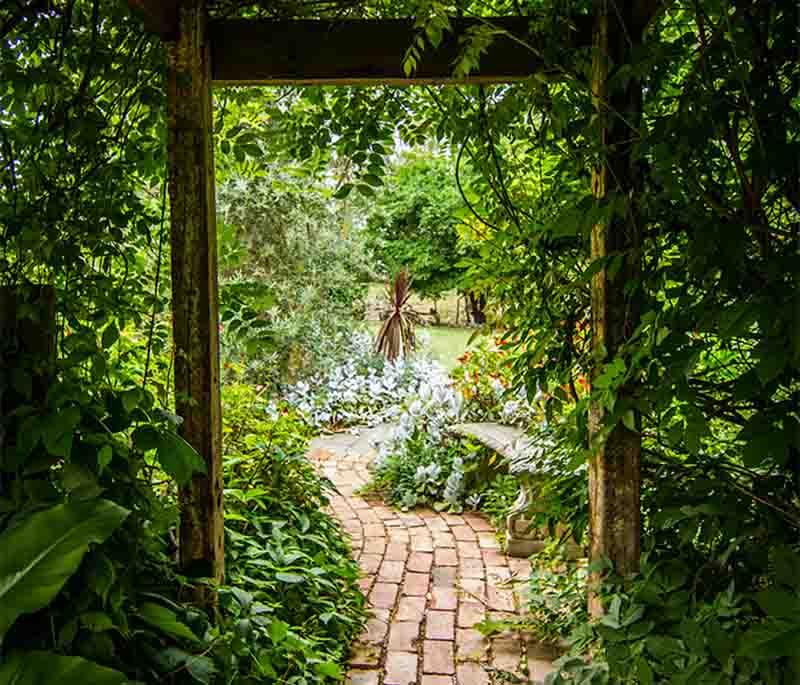 Royal Botanic Garden in Sydney, New South Wales, features diverse plant species and tranquil gardens.