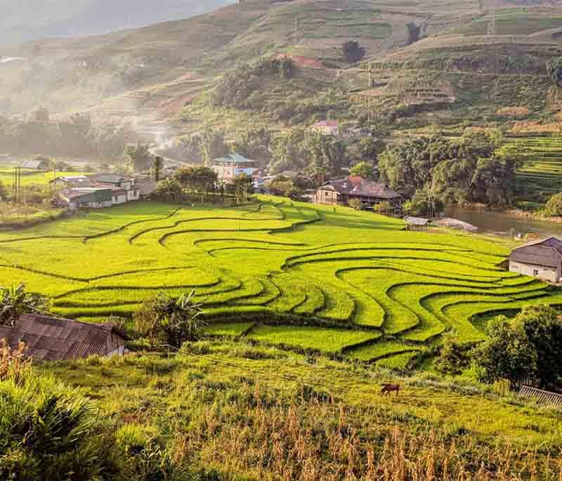 Sapa - A mountain town known for its stunning terraced rice fields, ethnic minority cultures, and trekking opportunities.