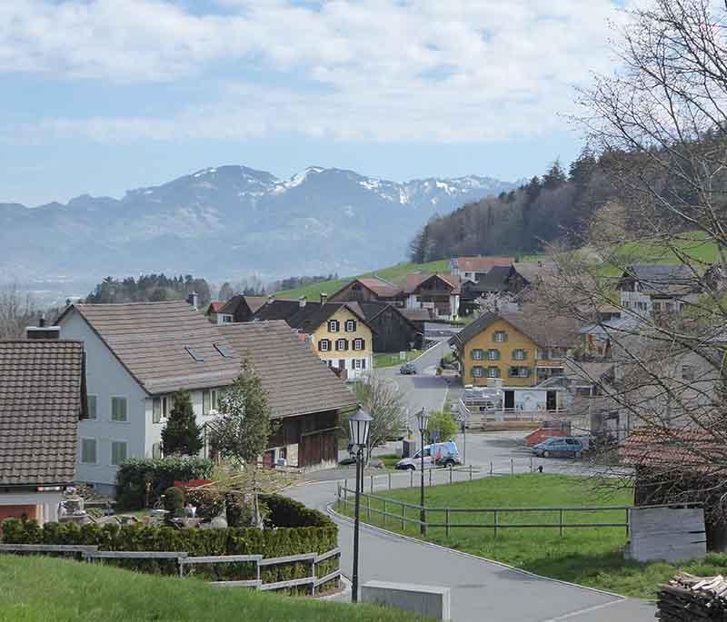 Schellenberg, a village with historical significance, including the ruins of ancient castles and fortifications.