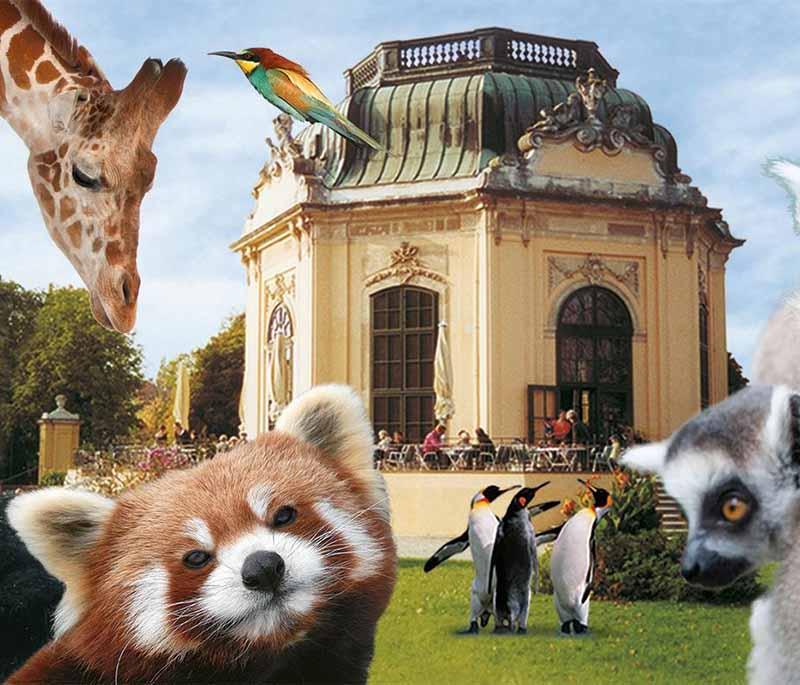 Schönbrunn Zoo: Located in Vienna, noted for its conservation efforts, diverse animal habitats, and family-friendly setting.