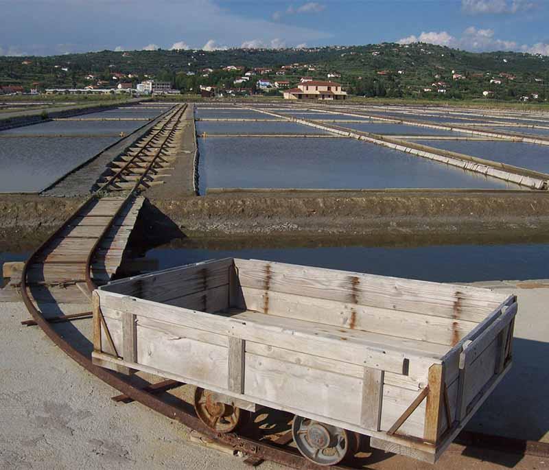 Sečovlje Salt Pans - A historic salt production area known for its natural beauty and birdwatching opportunities.