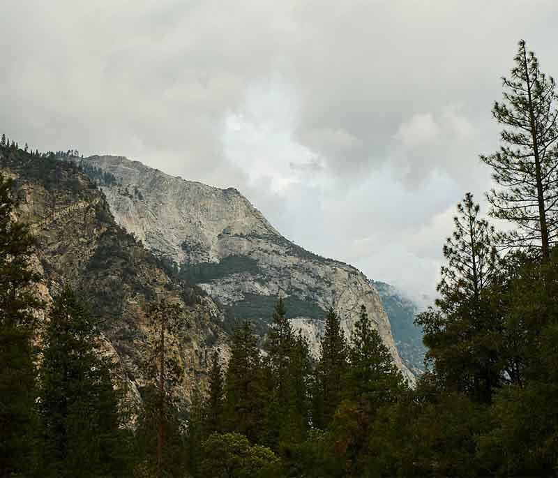Sequoia and Kings Canyon National Parks: Home to some of the world's largest trees and stunning landscapes.