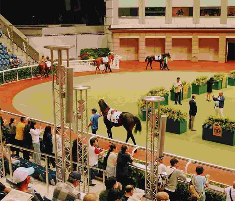 Sha Tin Racecourse, a famous venue for horse racing in Hong Kong, offering exciting races and entertainment.