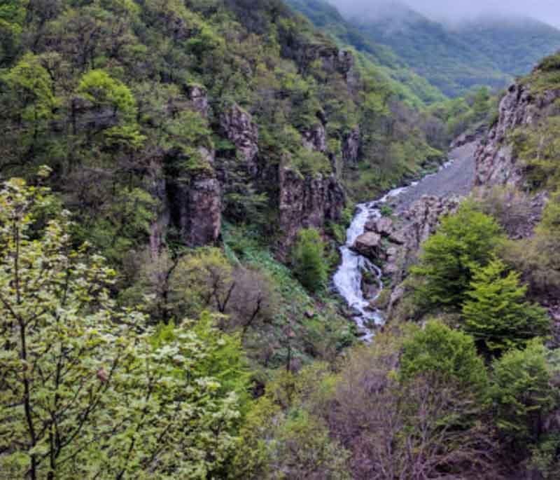 Shikahogh State Reserve, illustrating one of Armenia's protected areas with dense forests and diverse wildlife.